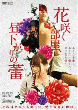 鸡毛信封面